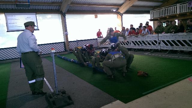 4029.jpg
