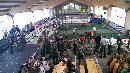 4033.jpg